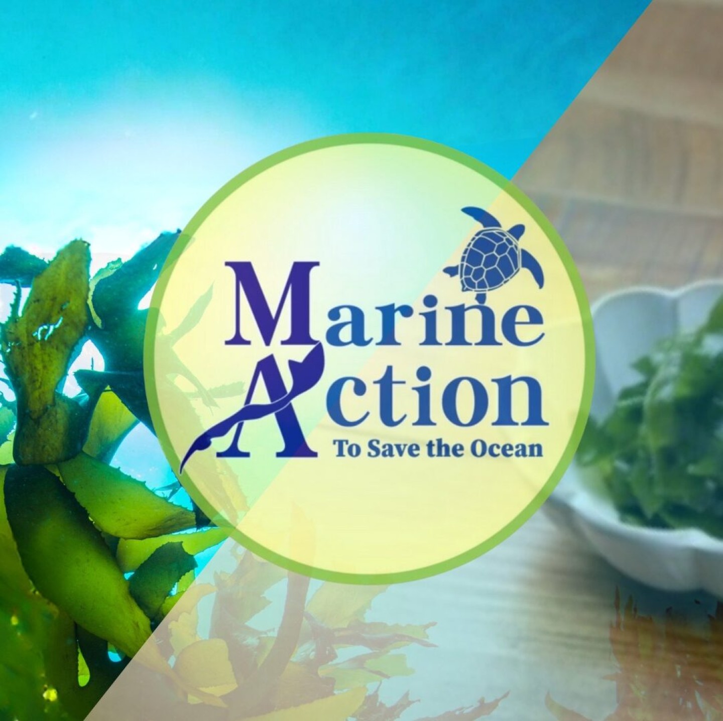 622282083_1207364734905396_6769420410535824401_n