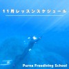 11月レッスンスケジュール