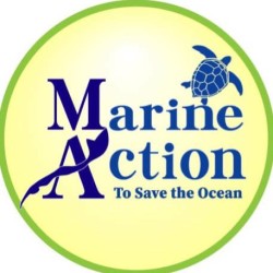 marine-action-logo